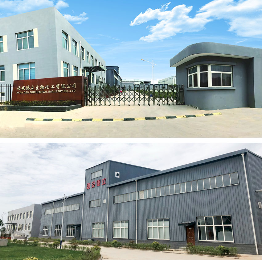 Xi'an Deli Biochemical Industry Co., Ltd.: Führende Innovation in Cyclodextrin -Derivaten, befähigt die Pharmaindustrie